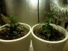 day22.2.jpg day22.2.jpg