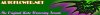 autonetdraft1.jpg