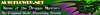 autonetdraft2.jpg
