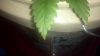 2013-12-13_13-25-37_147.jpg