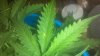 2013-12-13_13-24-52_876.jpg