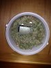 IMG_1065 - Copy.jpg