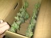IMG-20131214-00529.jpg