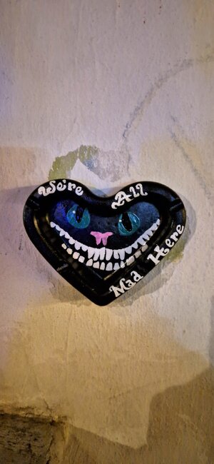 20240308_202213.jpg