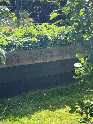 IMG_3997.jpeg