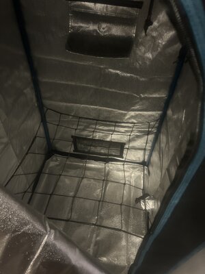 IMG_0629.jpeg