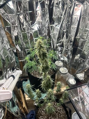 IMG_0864.jpeg