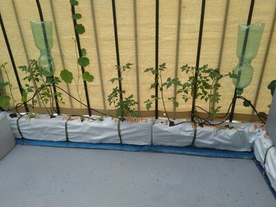 IMG_20240608_084042.jpg