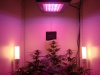 all lights.jpg