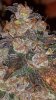 20131211_143557.jpg