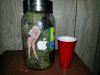 20131216_131732.jpg