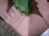 uploadfromtaptalk1387312619754.jpg