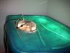 seedling chamber2.jpg