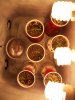 seedling chamber3.jpg