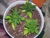 100_3618.jpg