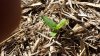 20131222_100620.jpg