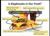 glyphosphate infographic.jpg