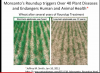 monsanto roundup vs other.png