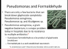bacterium.png