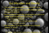 gut microbes 12-21-2013 7-14-30 PM.png