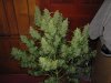 IMG_0003.jpg