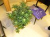DSCN3558.jpg