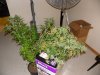 DSCN3573.jpg