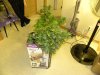 DSCN3590.jpg