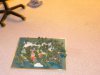 DSCN3597.jpg