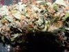 DSCN3618.jpg