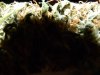 DSCN3622.jpg