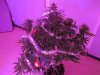 IMG_0002.jpg