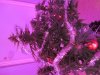 IMG_0003.jpg