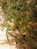 IMG_20131223_145053.jpg