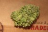 bud1.jpg