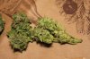 bud2.jpg