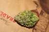 bud3.jpg