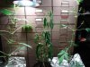 DSC00457.jpg