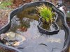 100_3753.jpg