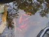 100_3754.jpg