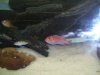 100_3764.jpg