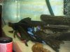 100_3766.jpg