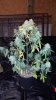 20131230_151340.jpg