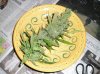 Harvest SR#1  01-02-14 Week #11 004.jpg