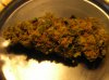 Norther Light Bud  01JAN14 001.jpg