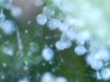 Day 60 microscope shots (1).jpg