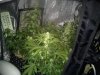 AutoGrow#2week6d3 014.jpg