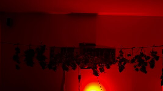 IMG_1207.jpeg