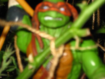 IMG_0048.JPG
