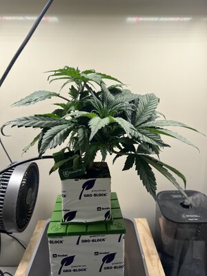 IMG_0544.jpeg